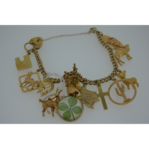 164 - A 9 ct and 18 ct gold charm bracelet, 43.5g