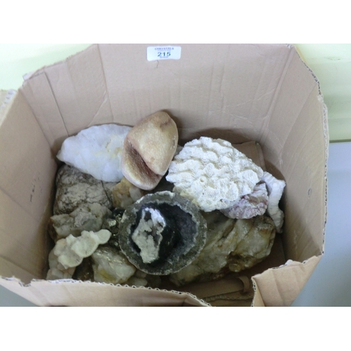 215 - Box of geodes, etc.