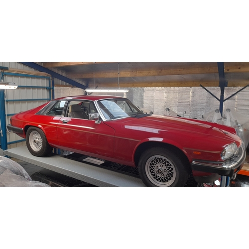 43 - Uk Reg F610JWL
Red Jaguar XJ-S 5.3L V12
First Registered January 1989
Approx 88,523 miles
Auto Petro... 