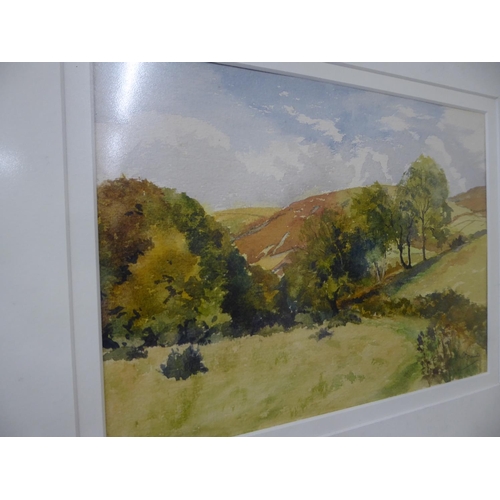 337 - M Braide, Autumn by Laxey Valley, watercolour, signed, 12 x 14 ins