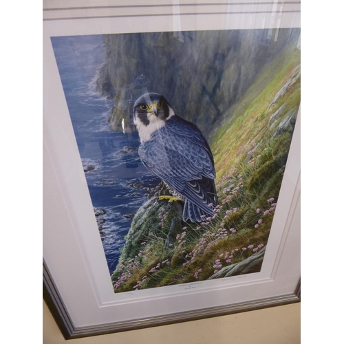 130 - Jeremy Paul signed print 'Peregrine at Spanish Head'