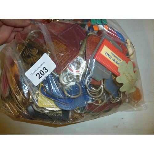 203 - Large bag of keyrings