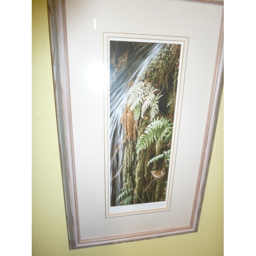 205 - Pair of Jeremy Paul signed prints - Winter Gold and Waterfall Wren