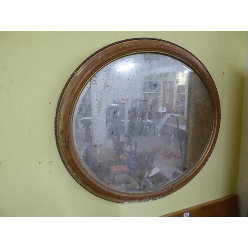 289 - Oval bevel edged glass wall mirror