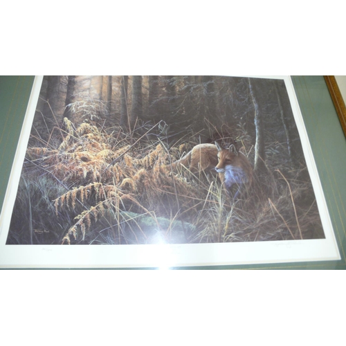 268 - Jeremy Paul, Evening Light, signed print