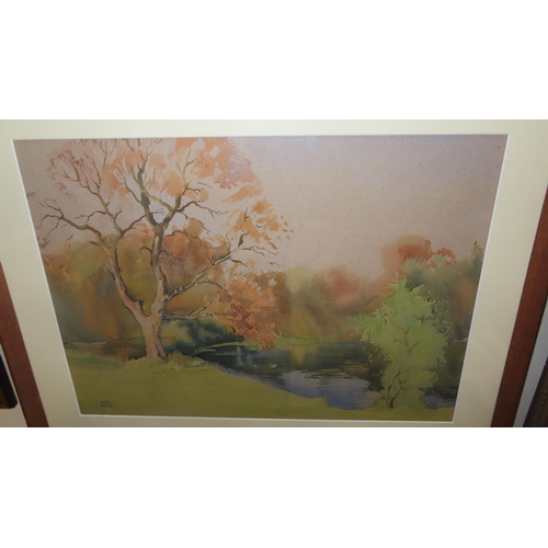 275 - David Byrne The Sunlit Sycamore Watercolour Signed 
16