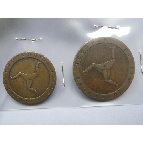 321 - 1813 Isle of Man penny and half penny