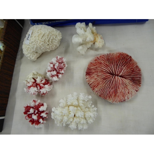 209 - A small collection of corals including Brain coral