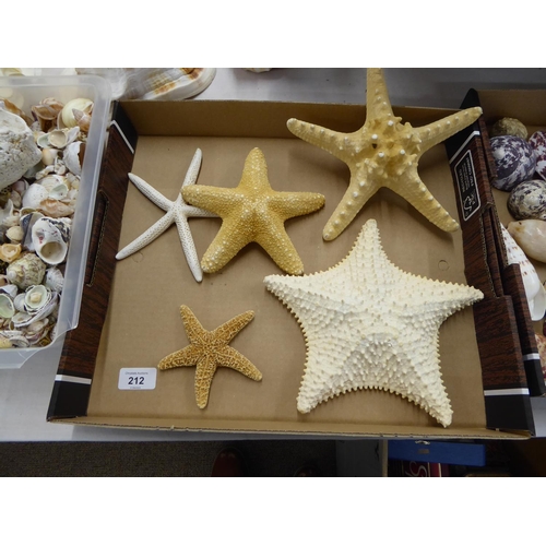 212 - Five starfish