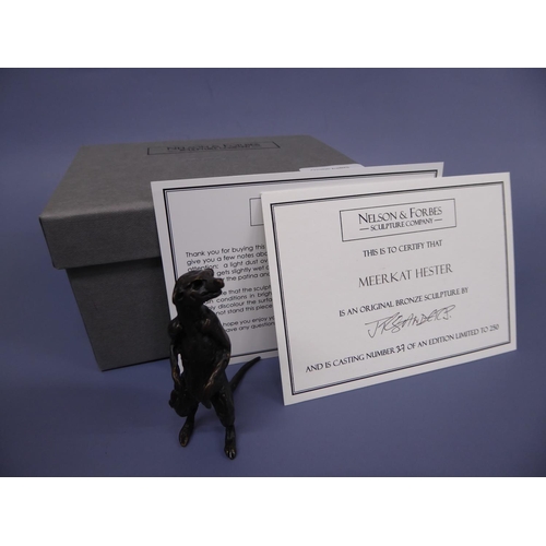 230 - JR Sanders bronze sculpture of meerkat Hester No 37/250 boxed with certificate