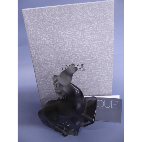 233 - Lalique grey glass sculpture of a prancing horse. Signed to base Boxed