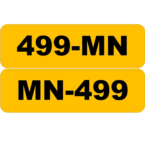 22 - MN499 & 499MN
On cherished Registration Certificates