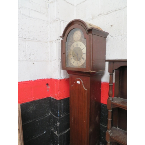 4 - Tempus Fugit long case clock