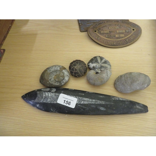 156 - Small collection of fossils
