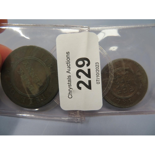 229 - Isle of Man penny and half penny tokens 1811