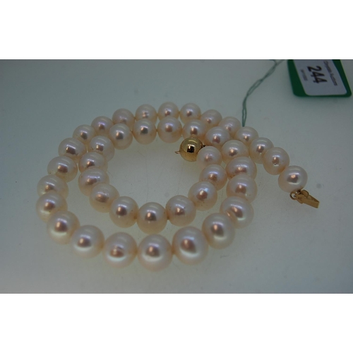 244 - Weighty Freshwater Cultured Pearl Necklace with 9ct Gold Ball Clasp