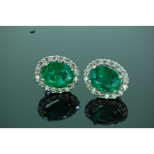 37 - Pair of 18ct white gold oval emerald and diamond cluster ear studs, emeralds 3.96 carats, diamonds 0... 