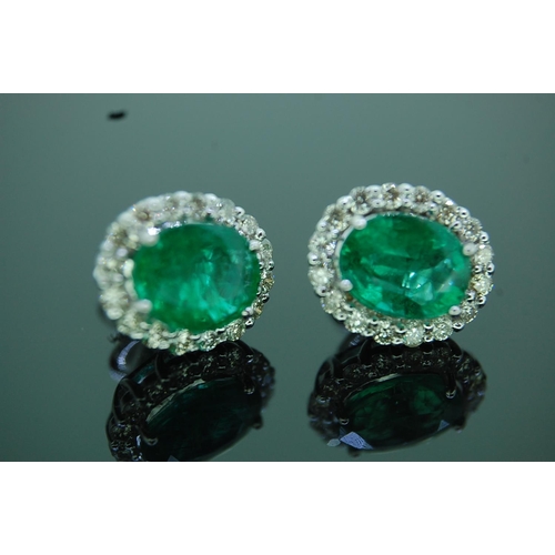 37 - Pair of 18ct white gold oval emerald and diamond cluster ear studs, emeralds 3.96 carats, diamonds 0... 