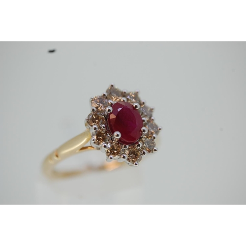 202 - Oval ruby and diamond cluster ring set in 9 ct. gold, ruby .80 ct. - size N