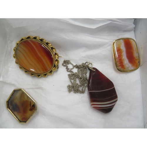 396 - Collection of hardstone brooches and a pendant