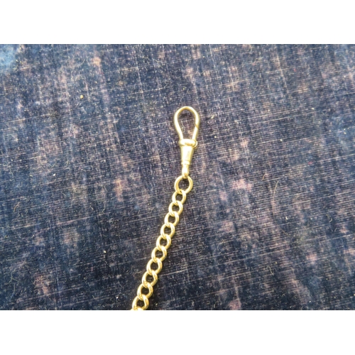 258 - 9 ct. gold chain link bracelet - wt. 12.4 grms