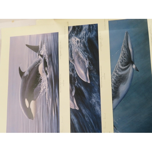 278 - Three Jeremy Paul L/E prints of Orca, dolphin and whale