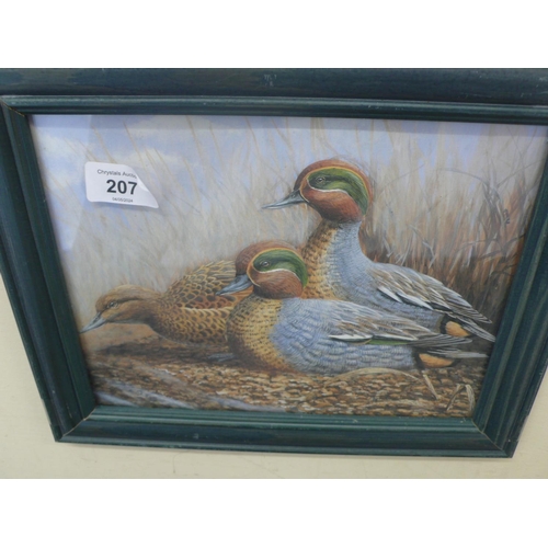 207 - Four prints of ducks