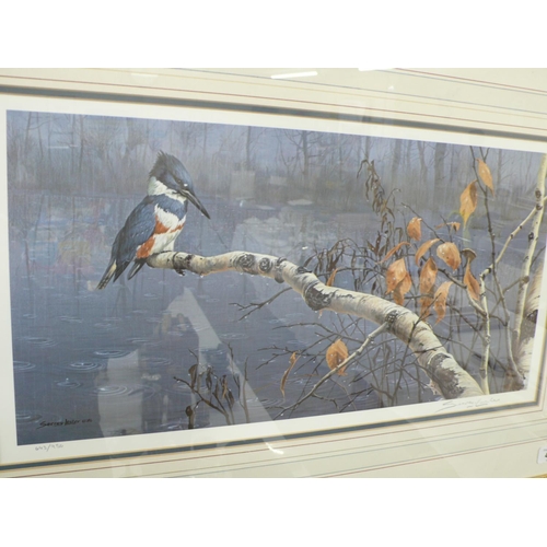 425 - Seerey-Lester, signed print of kingfisher