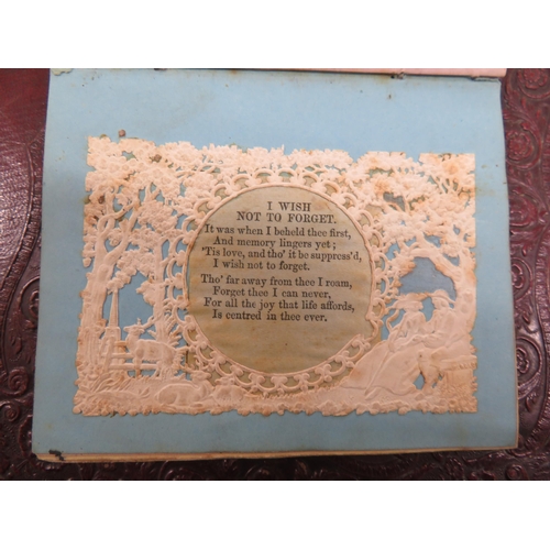 480 - Collection of antique photograph and other frames together with 19thC embossed scrap albums