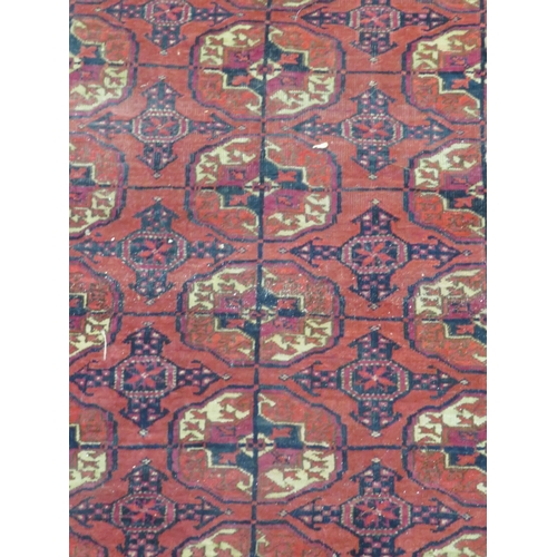 276 - Bokhara carpet in mainly red wools, 63x43ins