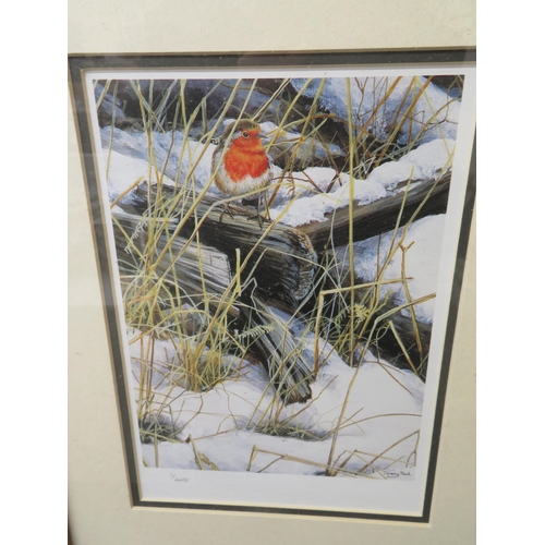 111 - Dr. Jeremy Paul, Robins - Winter Friends, signed L/E print with stamps