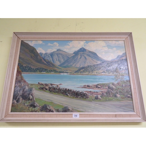 310 - Oil painting of an Alpine scene, indistinctly signed