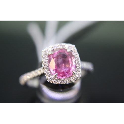 290 - A platinum ring set with a cushion cut pink oval sapphire surrounded by diamonds with diamond should... 