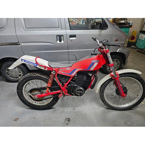 Lot 61        