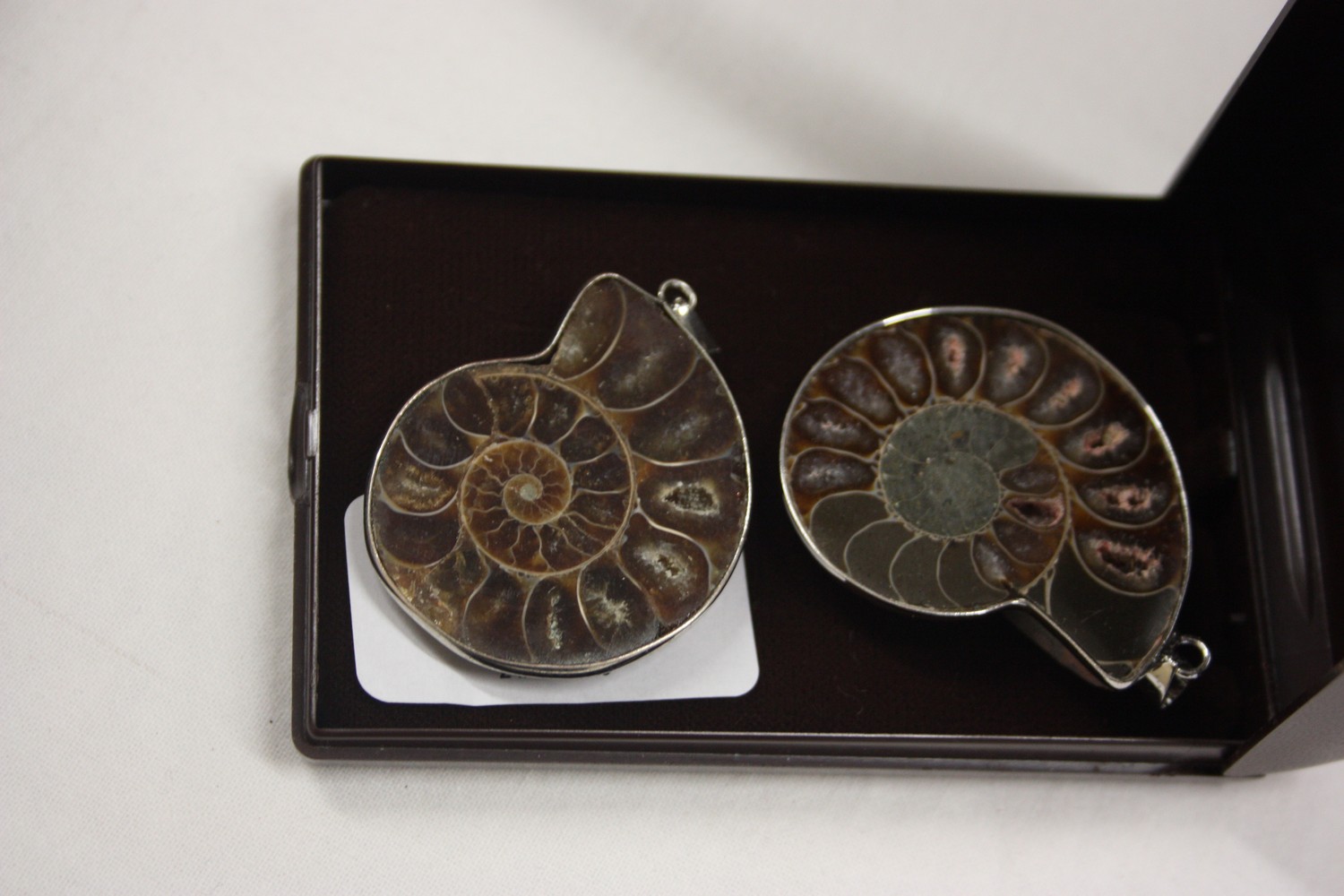 Two ammonite pendants