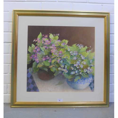 44 - Margaret Anderson,  Cinneraria,  watercolour,signed,  in glazed and giltwood frame, 48 x 46cm... 