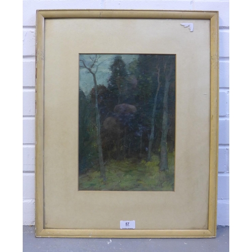 57 - Alick Riddell Sturrock, RSA (1885 - 1953)  Wooded landscape,  oil, signed and dated 1912,  in glazed... 