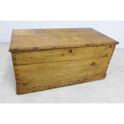 289 - Pine storage trunk with hinged top, 50 x 102cm