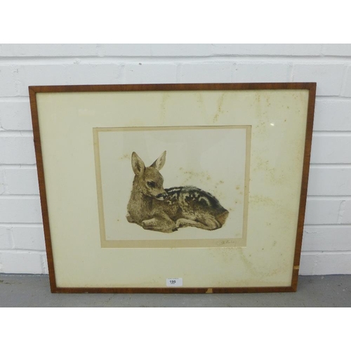 195 - Fawn, coloured drypoint, in glazed frame, 33 x 28cm