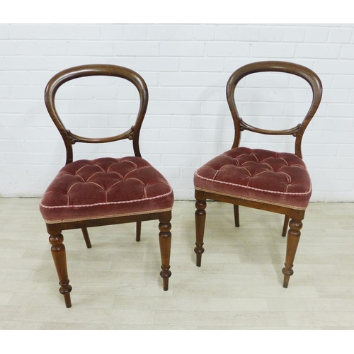 239 - Pair of Victorian mahogany balloon back chairs with button upholstered  seats and turned legs, 84 x ... 