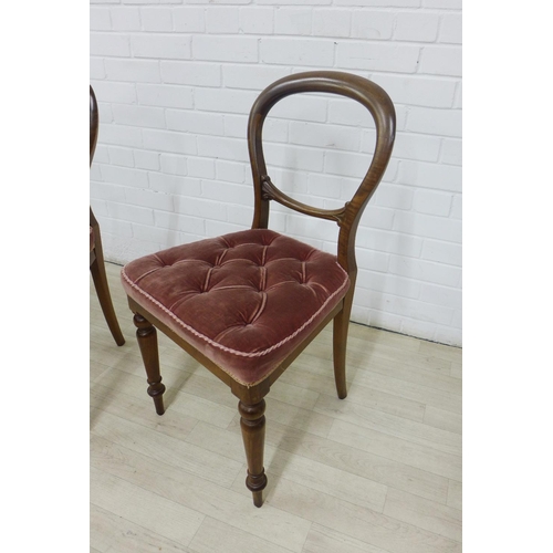 239 - Pair of Victorian mahogany balloon back chairs with button upholstered  seats and turned legs, 84 x ... 