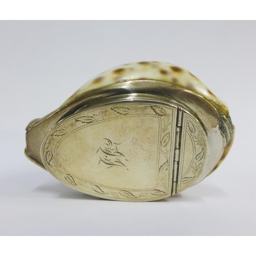 30 - 19th century Scottish provincial silver mounted cowrie shell snuff box, Peter Gill & Son, Aberdeen, ... 