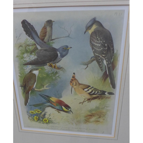 161 - Set of five Archibald Thorburn coloured prints, framed under glass, 23 x 27cm (5)