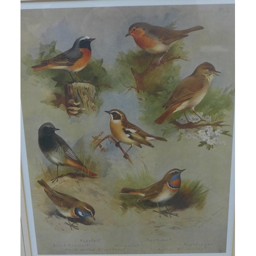 161 - Set of five Archibald Thorburn coloured prints, framed under glass, 23 x 27cm (5)