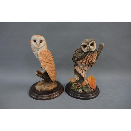 345 - Collection of owls to include Country Artists and Brook & Bentley, etc (4)