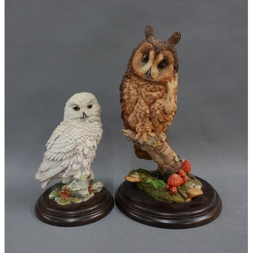 345 - Collection of owls to include Country Artists and Brook & Bentley, etc (4)