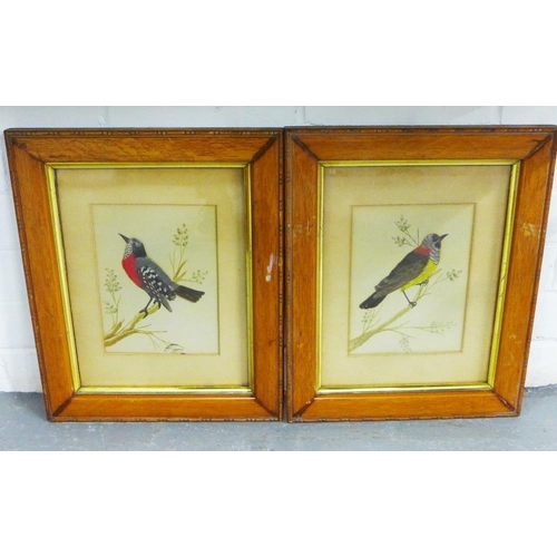 457 - A pair of bird feather collage, each in a glazed frame, size overall 16 x 21cm (2)