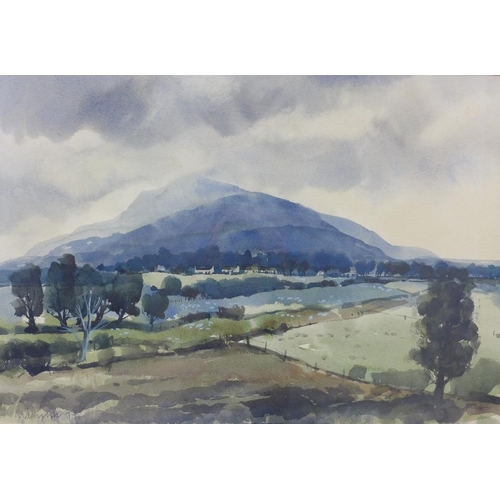 Lot 167       