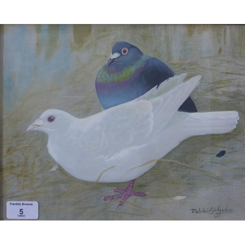5 - Ralston Gudgeon RSW (Scottish 1910 - 1942), Pigeons, gouache on board, signed and framed under glass... 
