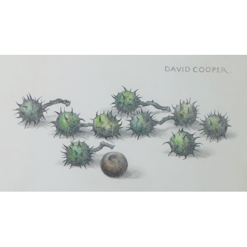 103 - WITHDRAWN
David Cooper, 'Conkers' pencil and crayon, signed and framed under glass, 30 x 18cm